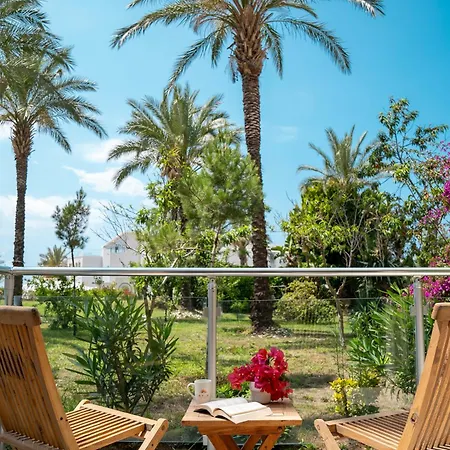 فندق Arin Bodrum 5*