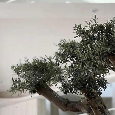 Hotel Arin Bodrum 5*