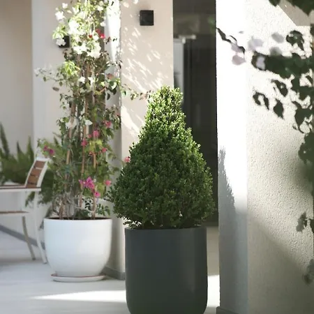 호텔 Arin Bodrum 5*