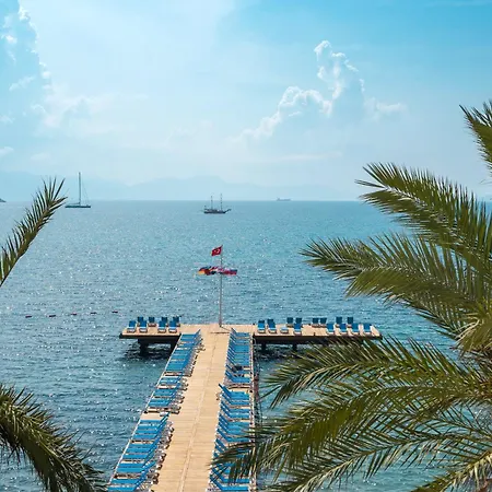 Отель Arin Bodrum Тургутрейс