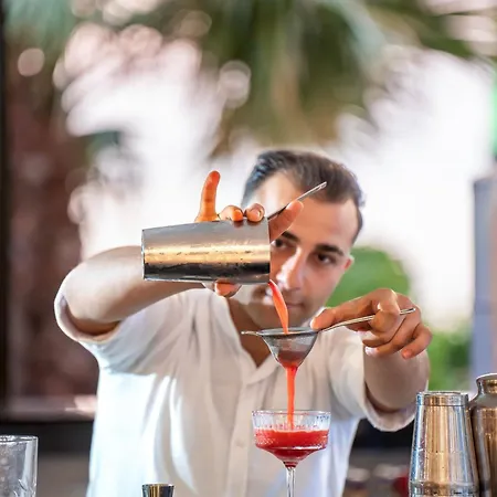 מלון Arin Bodrum טורגוטריס