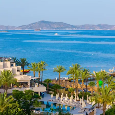 Arin Bodrum Тургутрейс